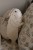 image00047.jpeg