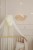 image00016.jpeg