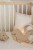 image00019.jpeg